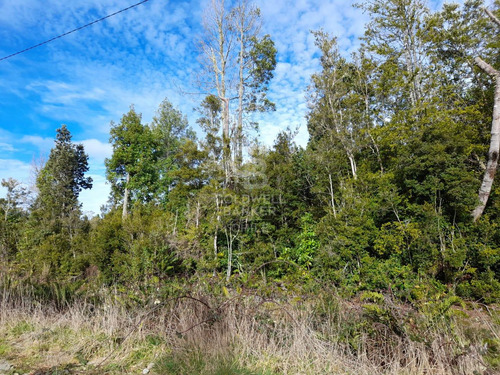 Parcela En Venta - Lomas De Monte Verde