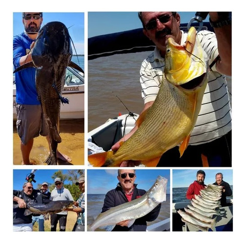 Esmerillones Pesca Sasame N°4 32kilos 12 Unidades Acero Inox