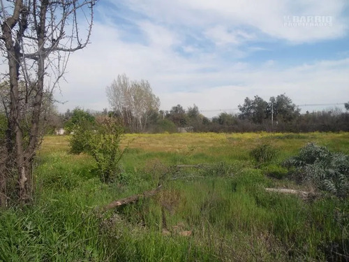 Sitio En Venta En Colina