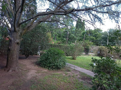 Imagen 5 de 13 de Casa - Villa Elisa