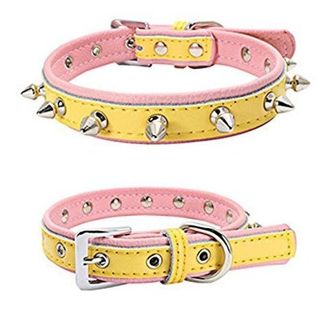 Avenpets Genuine Leather Padded Dog Collar With One Jwr9l