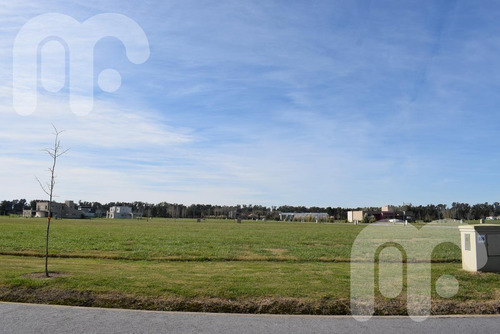 Imagen 3 de 13 de Venta Lote Area 60