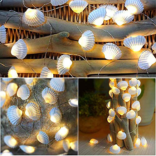 Cadena De Luces De Concha Natural De 13.2 Pies, 40 Led,...