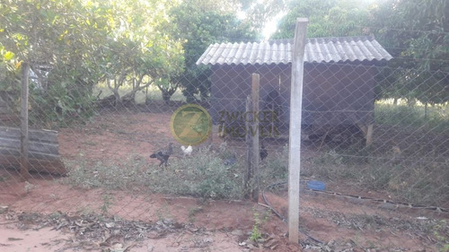 Imagem 29 de 30 de Venda: Chácara Sonho Meu - Santa Rita - Ch00154