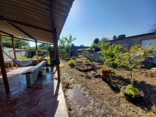 Imagem 10 de 17 de Mini Chácara No Bairro Sítio Velho, Em Itanhaém, Com Ar Condicionado No Quarto, Água Sabesp, Plantações, Galinheiro No Fundo, Analisa Proposta À Vista Ref: 9694/ac