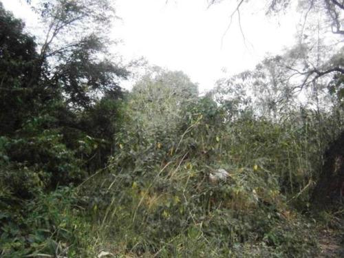 Imagen 22 de 23 de Venta Terreno Xochitepec Morelos Valle Dorado