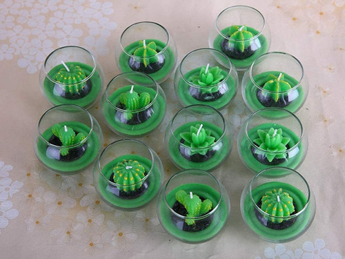 . 6 Molde Suculento Silicone Moldes Resina Flor Cacto