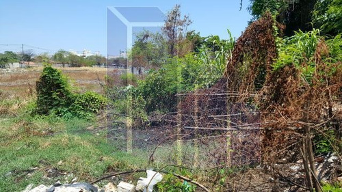Imagem 4 de 4 de Terreno Urbano Para Venda Em Rio De Janeiro, Recreio Dos Bandeirantes - T20144_2-1241954