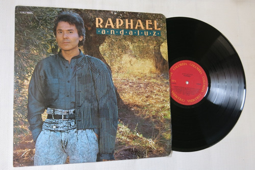 Vinyl Vinilo Lp Acetato  Raphael Andaluz Balada 