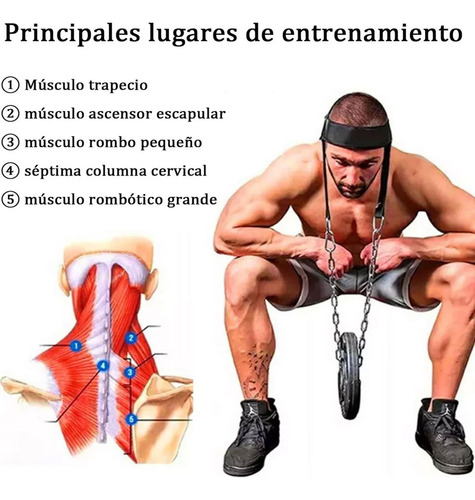 Arnés Ejercitador Para Cabeza Ejercicio Cuello Gym Box