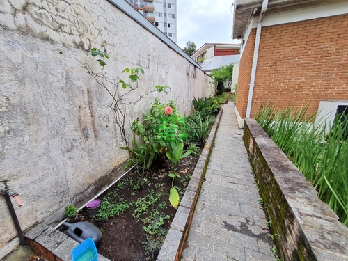 Imagem 26 de 30 de Casa Térrea Para Venda No Bairro Alto Da Lapa, 4 Dorm, 10 Vagas, 198 M, 704 M - 2135