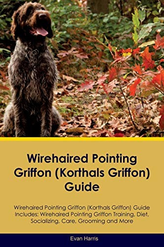 Wirehaired Pointing Griffon (korthals Griffon) Guide Wirehai