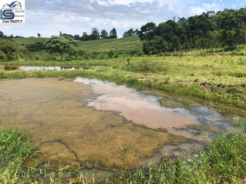 Imagem 5 de 15 de Terreno Para Venda Em Pedra Bela, Zona Rural - 1069_2-1186145