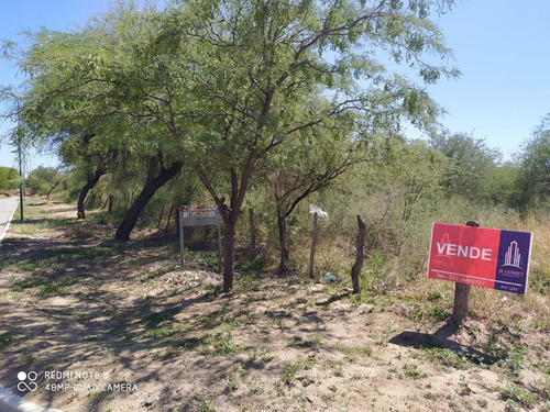 Imagen 4 de 14 de Terrenos En Venta En San Luis