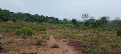 Terreno En Renta De Terreno A Pie De Carretera En Sebastopol Tuxtepec Oaxaca