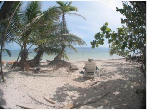 Imagen 4 de 5 de Terreno En Venta Mahahual