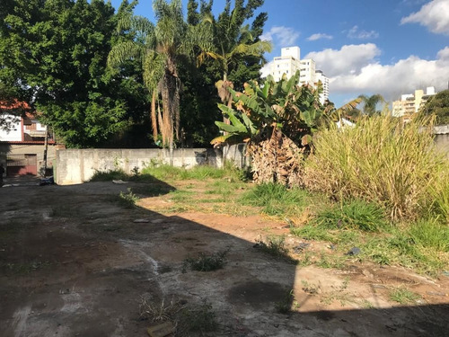Imagem 7 de 8 de 197 -terreno No Bairro Do Butantã Para Venda 550m²