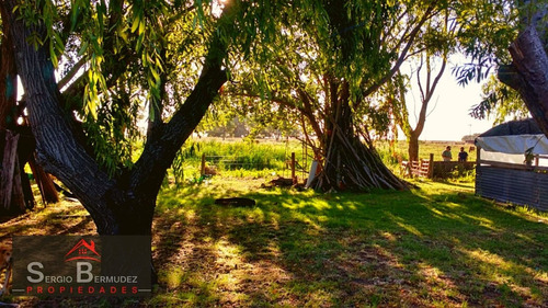 Imagen 8 de 14 de Venta-chacras-campo - Gral Lavalle-ruta 11/ Km 320