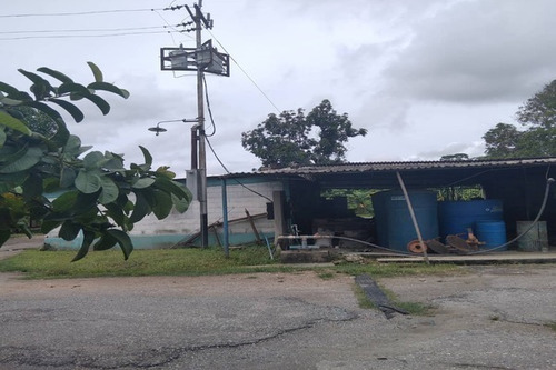 Imagen 3 de 10 de Fp Asein1608 Vende Excelente Finca De 12 Hectáreas En Montalbán Estado Carabobo