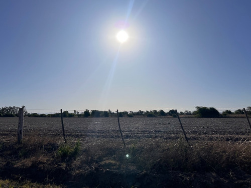 Imagen 12 de 13 de Campo Agricola En Venta , Zona Camino Capilla De Los Remedios Y Ruta 9 Sur , Cordoba , Argentina