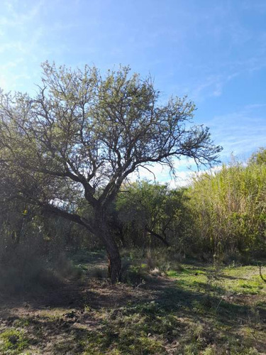 Lote En Venta, Villa De Las Rosas, Cerca Del Trigal