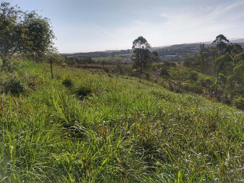 Imagem 23 de 30 de Chácara 42 Mil M2, Boa De Água Com Corrego, Casa Sede Com 5 Dormitórios, Toda Avarandada, Casa Caseiro, Piscina, Curral, Pasto, Pomar Em Formação - Ch00164 - 70147080