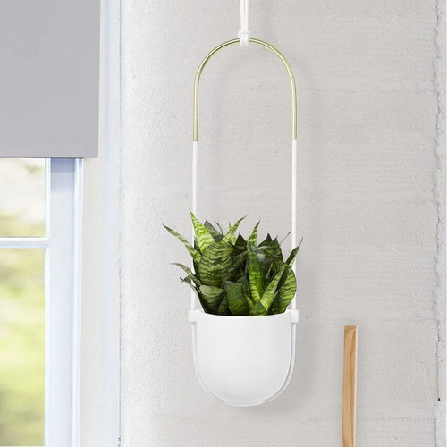 Maceta Bolo para colgar en pared o techo, Umbra