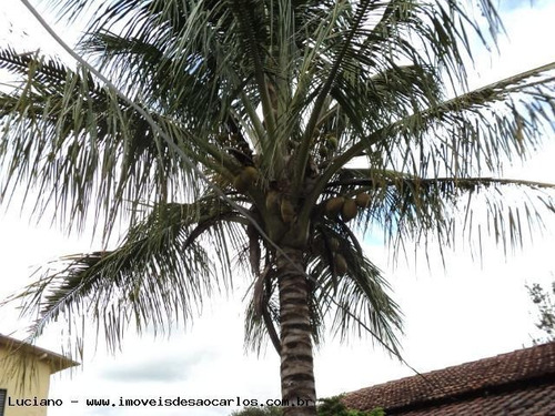 Imagem 14 de 15 de Casa Para Venda Em Ibaté, Centro, 3 Dormitórios, 1 Banheiro, 6 Vagas - L82_1-116687