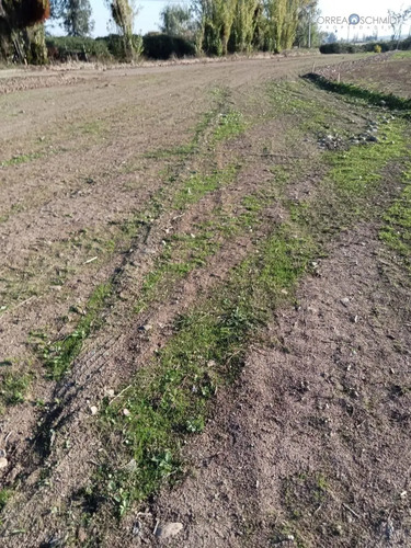 Terreno En Venta En Teno