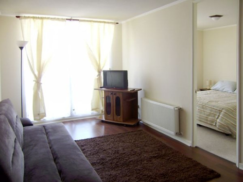 Departamento 2 Ambientes Amoblado Con Bodega