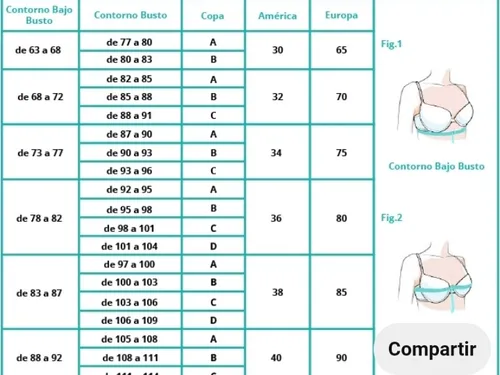 Brasier materno economico sale