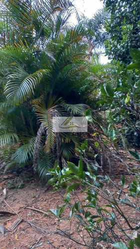 Imagem 15 de 15 de Vendo Chacara 1264m² Em Ibiuna-sp - 30