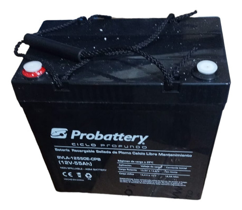 Batería Ups 12v 55ah Agm Probattery 12550e-cpb 