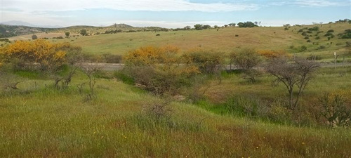 Parcela En Venta En Las Cabras