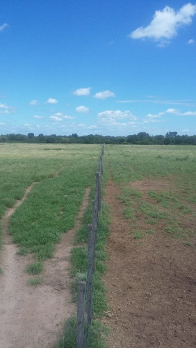 Imagen 9 de 30 de Se Vende Campo En Cordoba Listo Para Trabajarlo