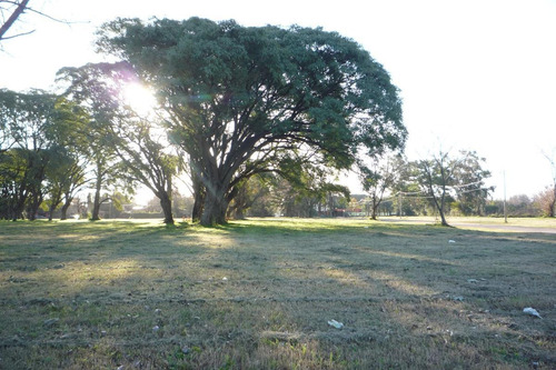 Imagen 10 de 10 de Terreno - Escobar
