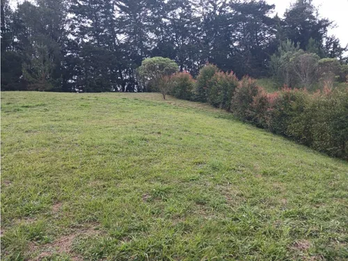 Lote Campestre En Venta En La Vía Don Diego La Ceja- El Chuscal