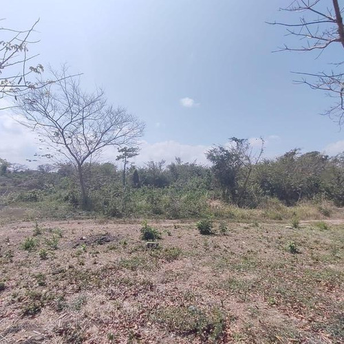 Hectárea En Venta En Veracruz Sobre Boulevard Paseo Jamapa Medellín.