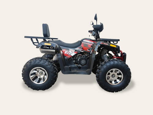 Imagen 4 de 20 de Tao Motor Hunter 250