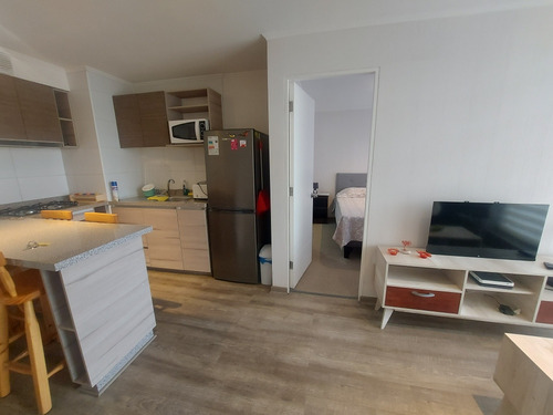 Departamento 1 Dormitorio, Amoblado, Concepción