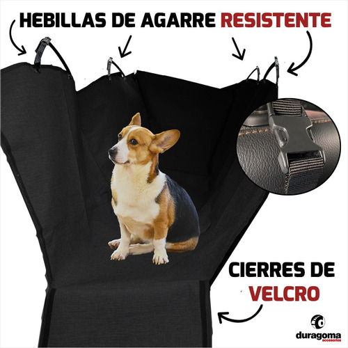 Funda Mascotas Auto Perro Gato + Cinturón Seguridad Regalo