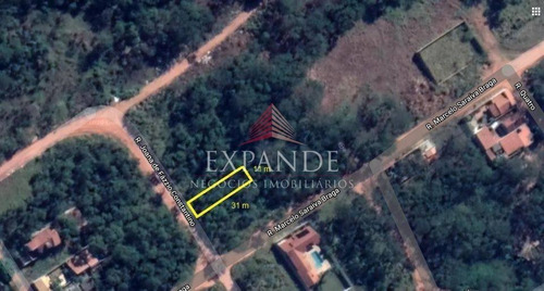 Imagem 2 de 2 de Terreno A Venda - Te00260