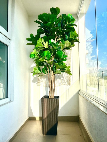 Planta Artificial Ficus Lyrata 180 Cm. Premium 232 Hojas
