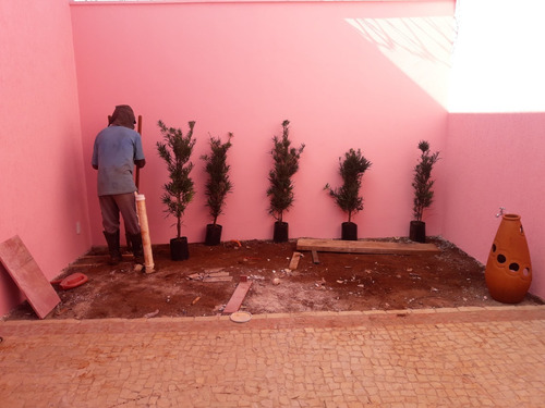 Imagem 3 de 7 de Serviço De Jardinagem E Paisagismo