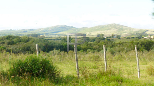 Imagen 6 de 9 de Campo En Venta Pan De Azúcar 60 Hectáreas