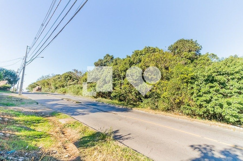 Imagem 8 de 12 de Terreno Em Condominio - Vila Nova - Ref: 43561 - V-58465733