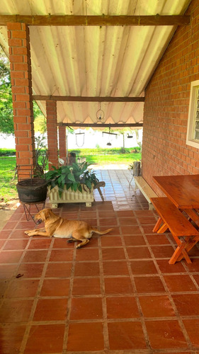 Ótima Fazenda Para Venda Em Cassia Dos Coqueiros-sp, 46 Alqueires, Totalmente Mecanizável, Casa Sede, Poço Artesiano, Represa, Nascentes E Barracões - Fa00050 - 68709761