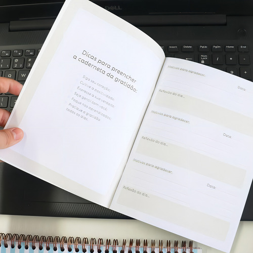 Planner Pocket Gratidão Vinho