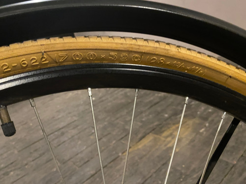 Bicicleta Antigua Negro (Usado)