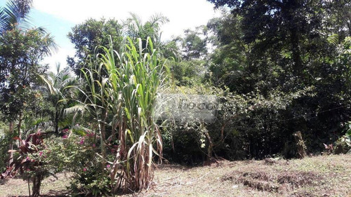 Imagem 29 de 30 de Sítio Com 3 Dormitórios À Venda, 302000 M² Por R$ 1.200.000,00 - Centro - Tapiraí/sp - Si0004